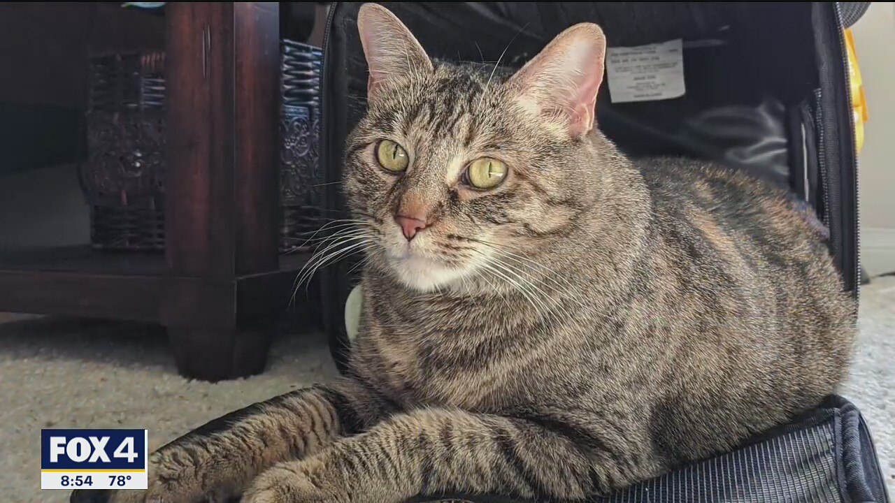 Pet of the Day: Mia