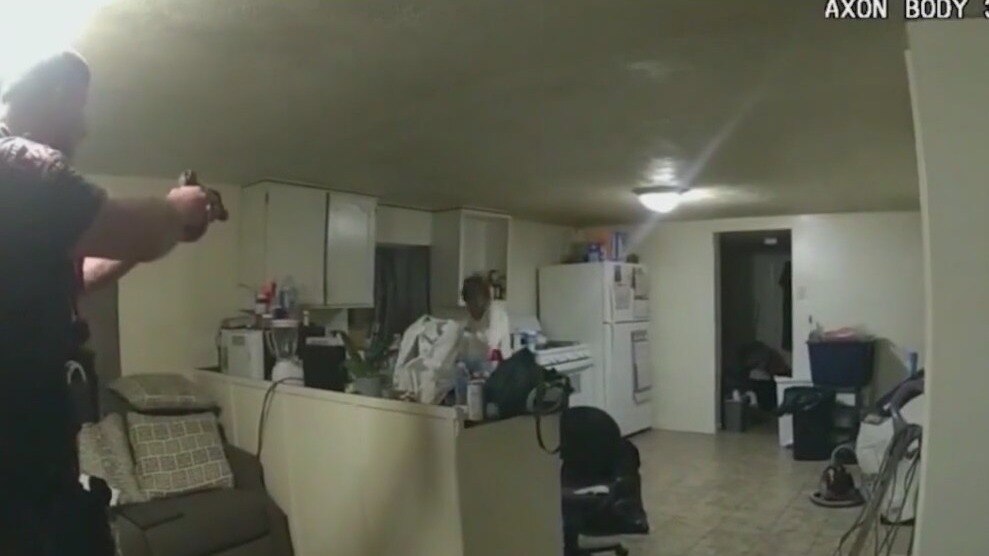 Sonya Massey murder: Autopsy results released after deputy fatally shoots woman