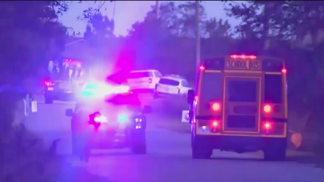 Structural failure blamed for ferry dock collapse in Georgia