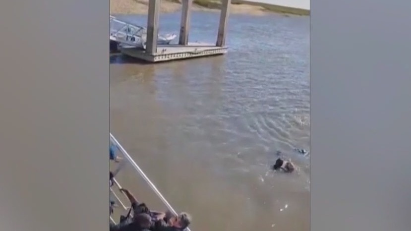 New video shows frantic moments after a ferry dock collapsed in Georgia
