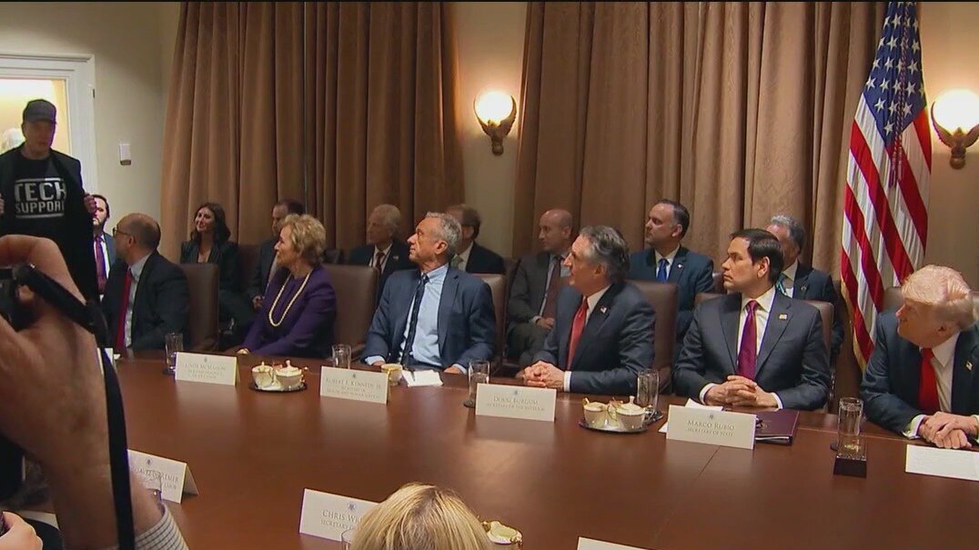 Trump hosts cabinet meeting with Elon Musk