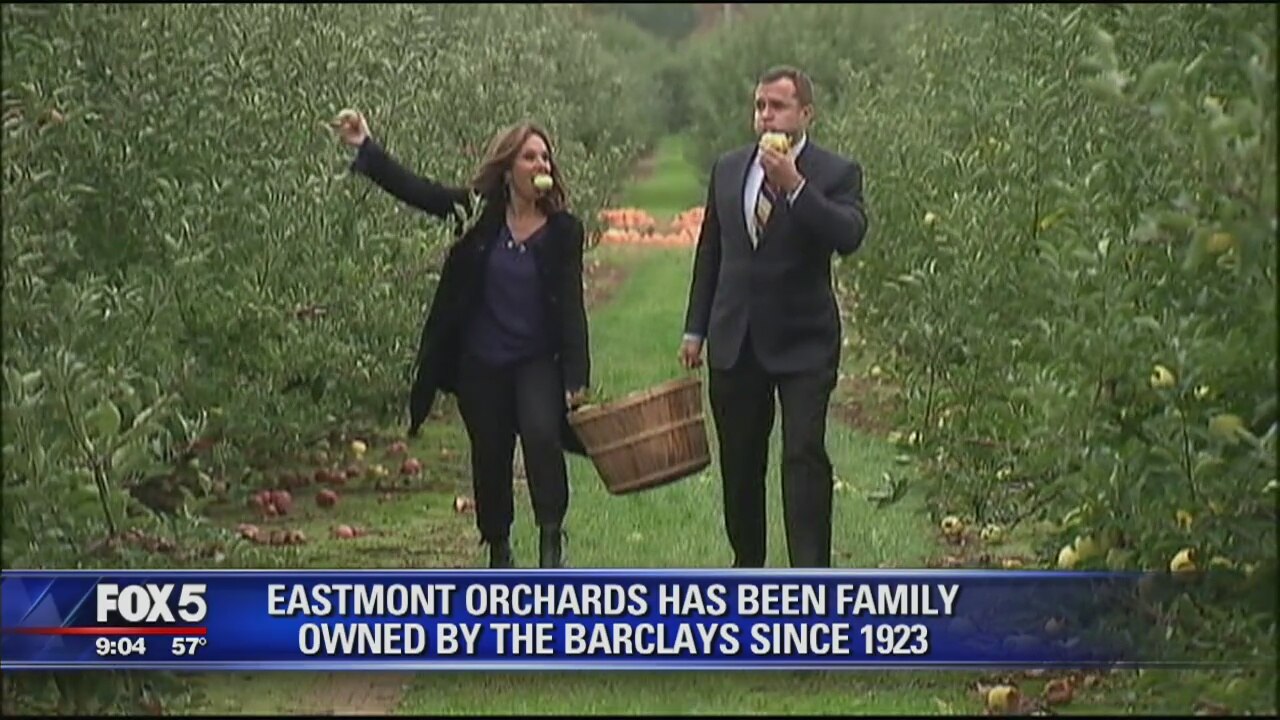 GDNY Goes Apple Picking