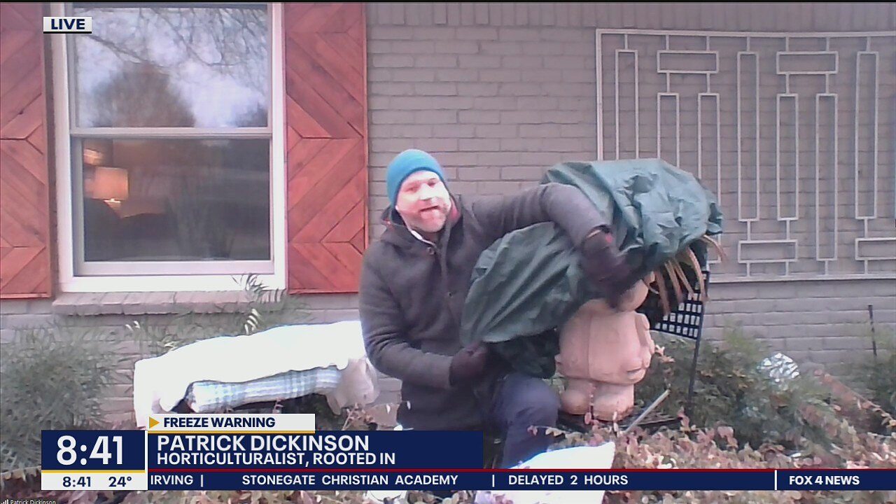 How to protect your plants and pipes from a freeze