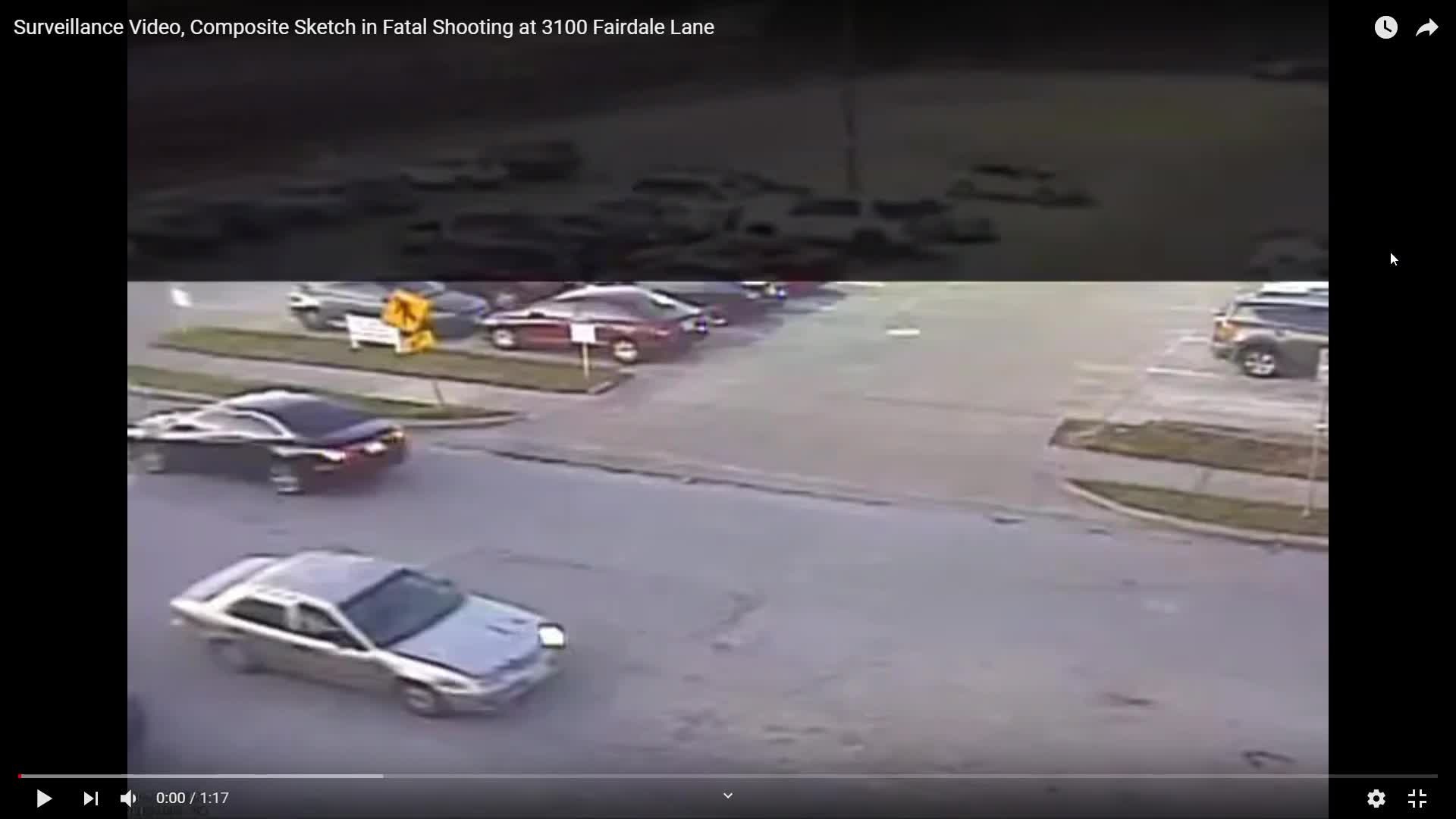 Fairdale Lane deadly shooting surveillance video
