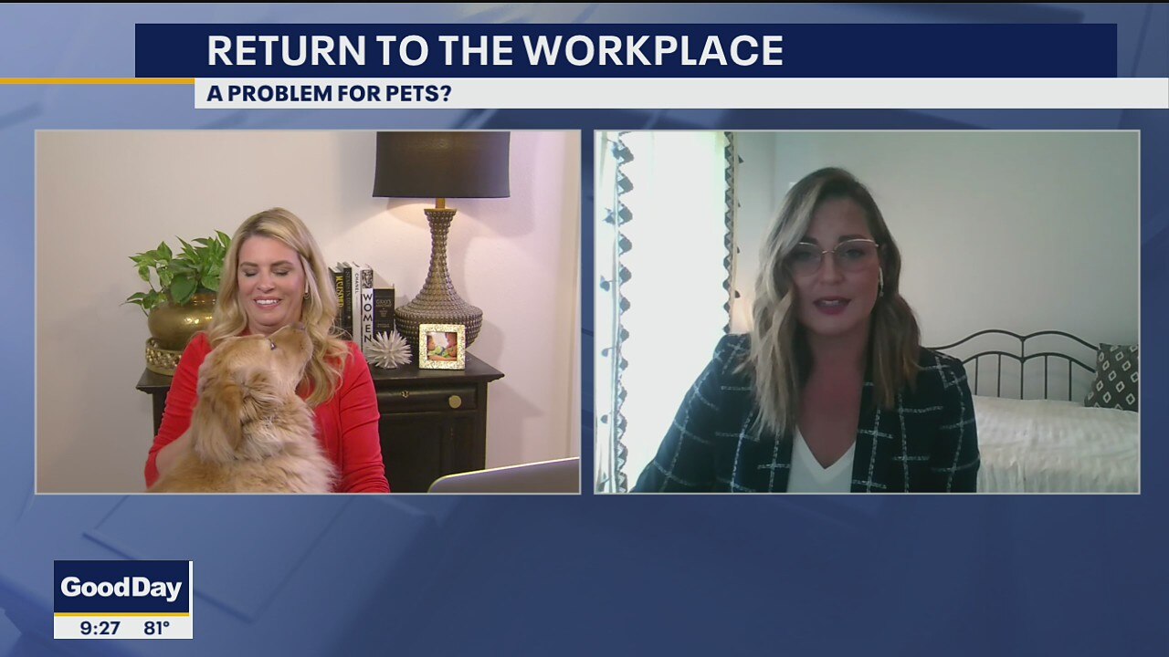 How to help your pet adjust to a return to work