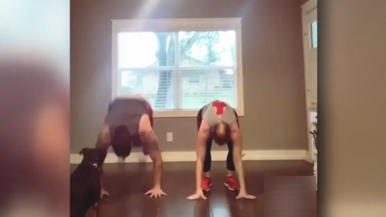 Push-up challenge takes over the internet