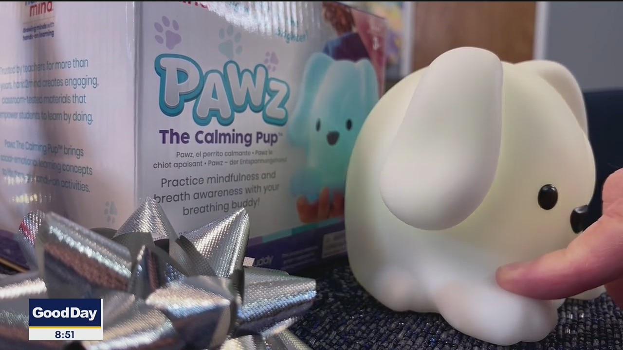 Holiday Gifts: Gadgets For All Ages
