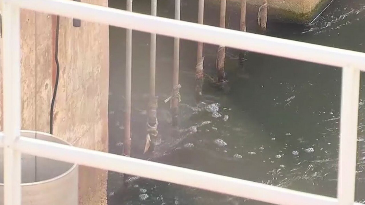 Experts say raw sewage can be used to track spread of COVID-19