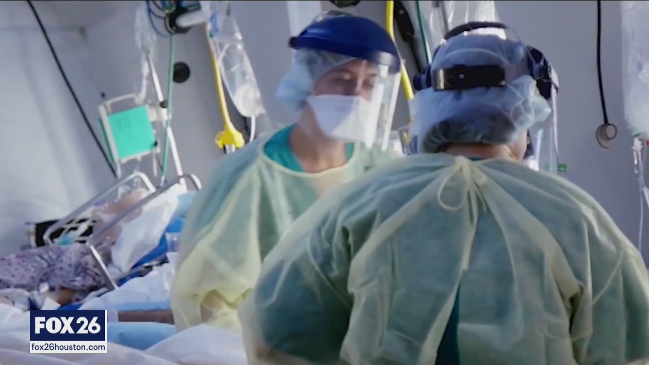 Model predicts dramatic increase in southeast Texas COVID-19 case