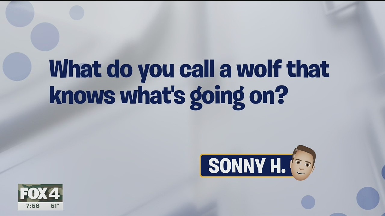 Dad Joke Friday: Mr. Know-It-All