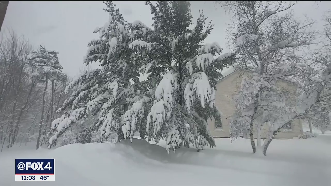 Blizzard blankets Buffalo with snow