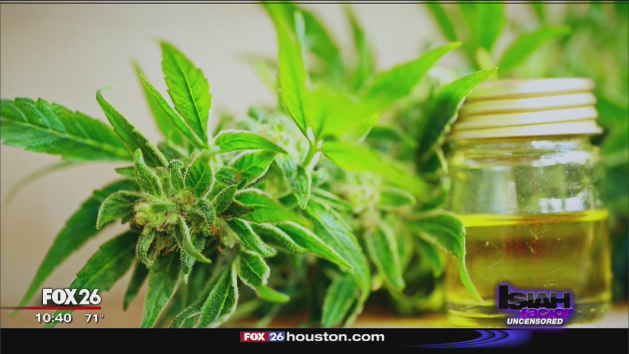 FOX 26's Isiah Carey tours business selling CBD products in Austin
