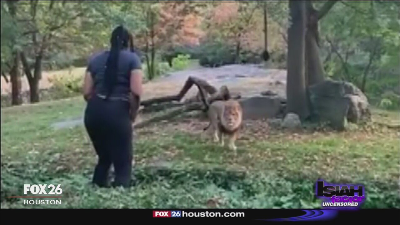 Woman who danced in lion enclosure says her boyfriend was driving her crazy
