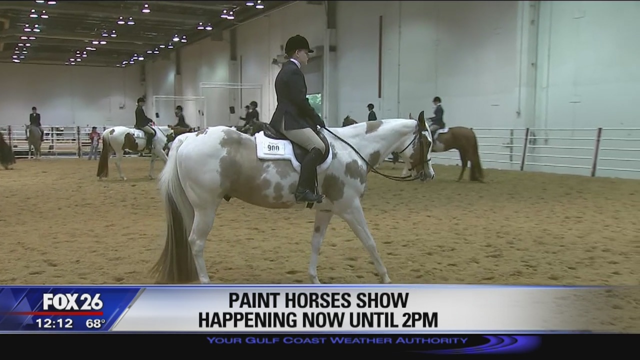 Paint Horse Show at RODEOHOUSTON