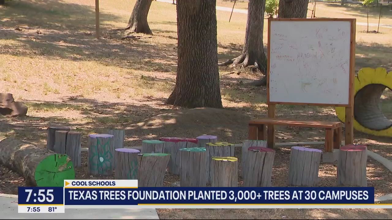 Group plants trees to create cooler school campuses