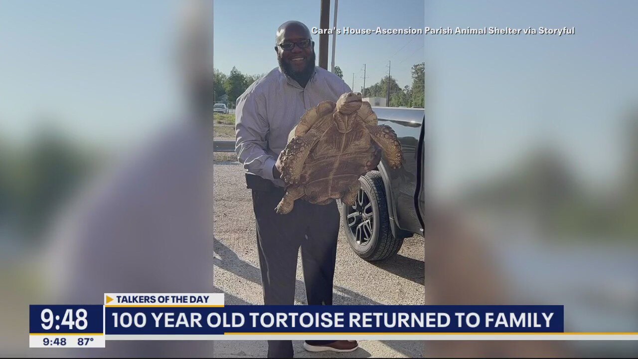 Talkers: Beyonc?'s dress code, escaped tortoise & more