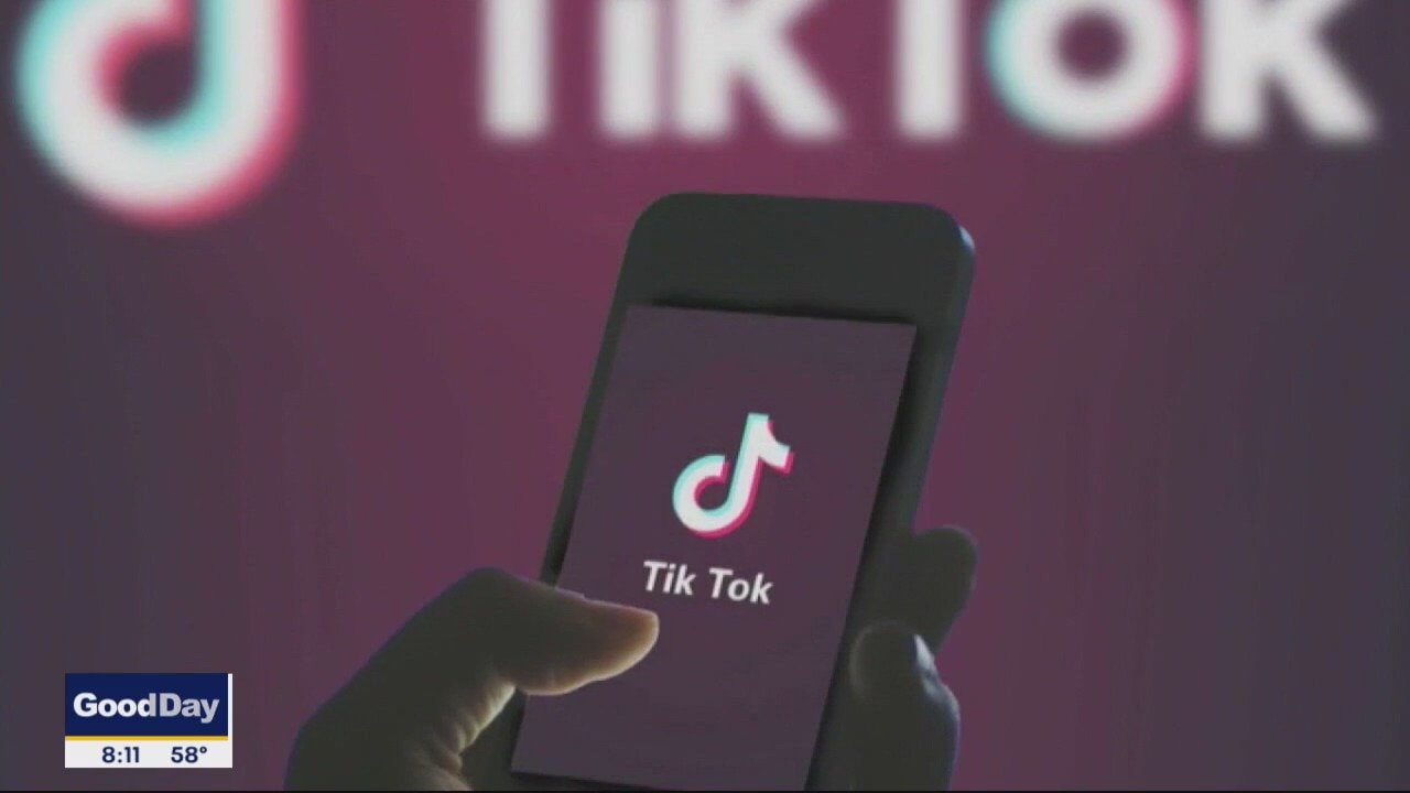 FOX Sunday's Shannon Bream on a TikTok ban