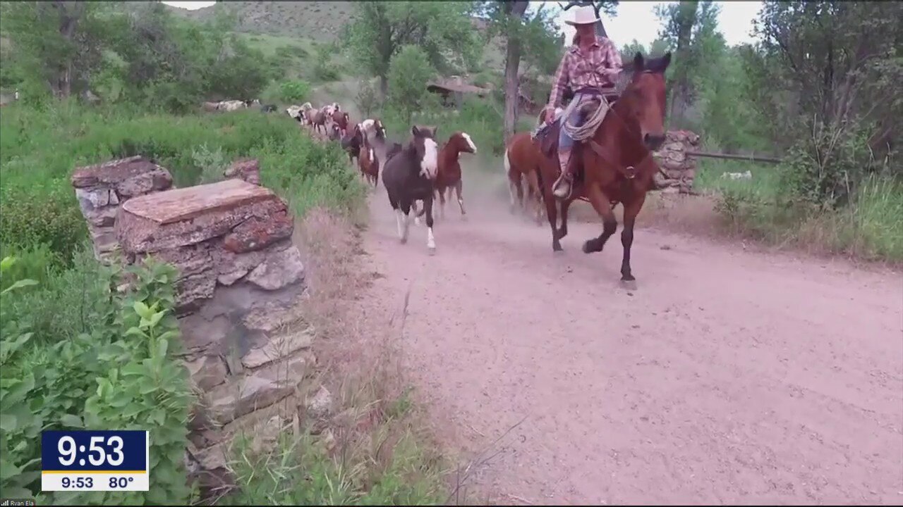 Plan a summer trip to a national park