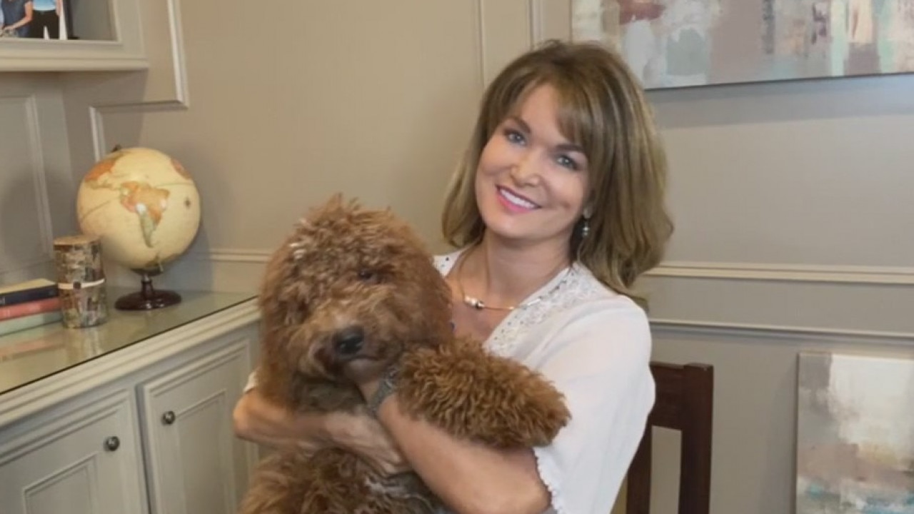 Pet Parade: Meet the pets at FOX 26