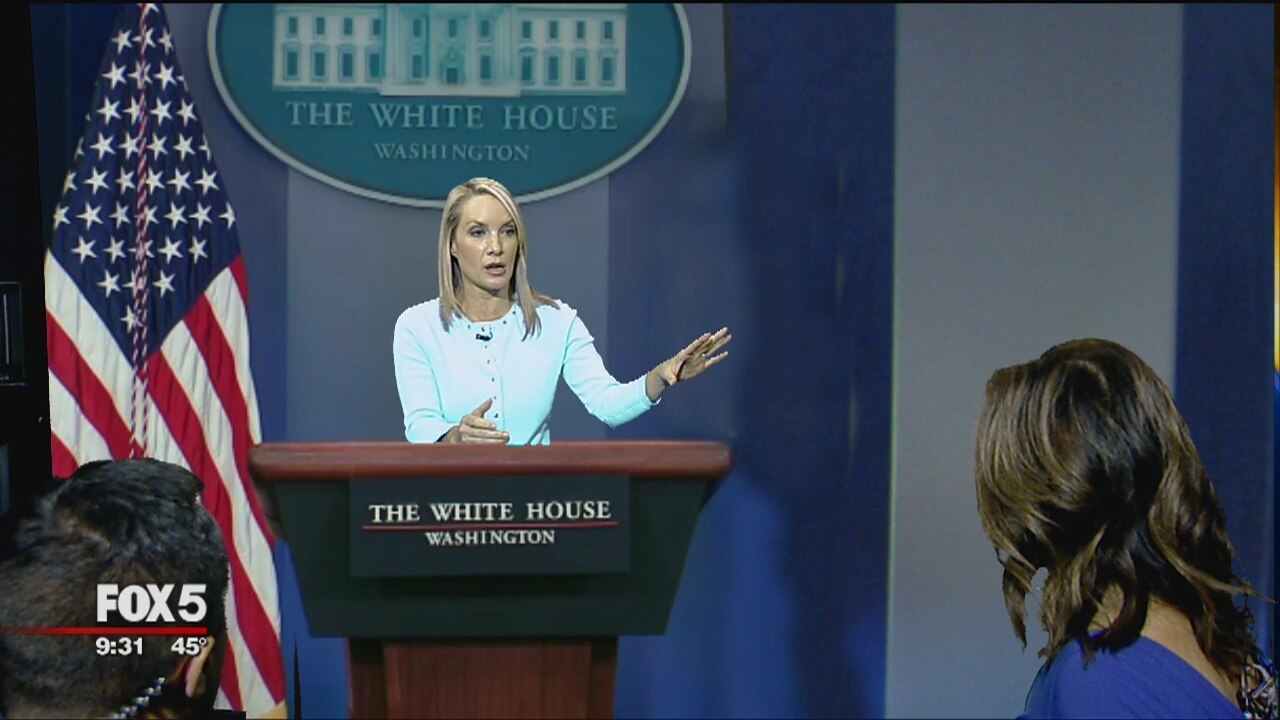 Dana Perino