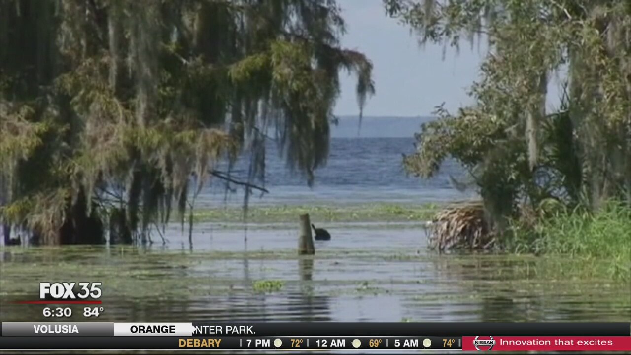 Man recovering after being bitten by gator in Volusia Co.