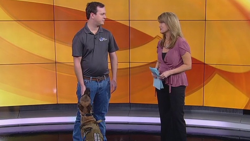 New law cracks down on fake service dogs