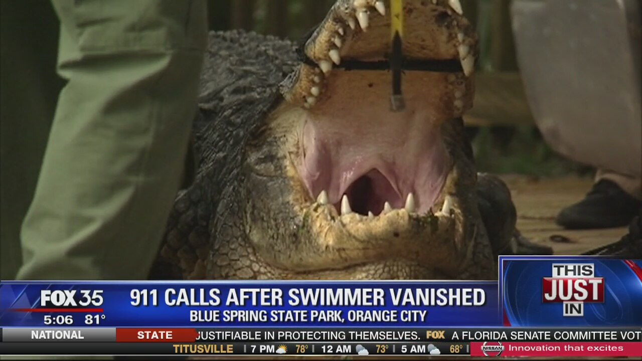 911 call reports missing snorkeler