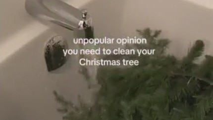 The Christmas tree bath trend dividing the internet