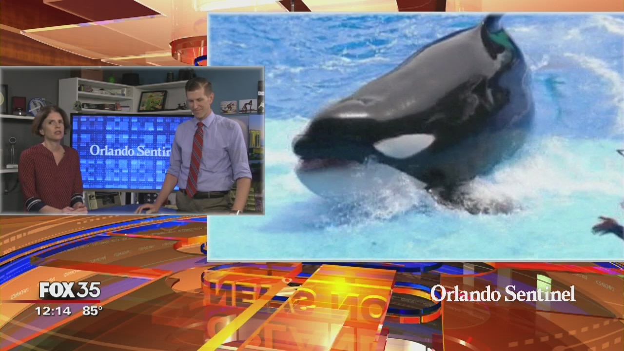 SeaWorld Orlando raises ticket prices