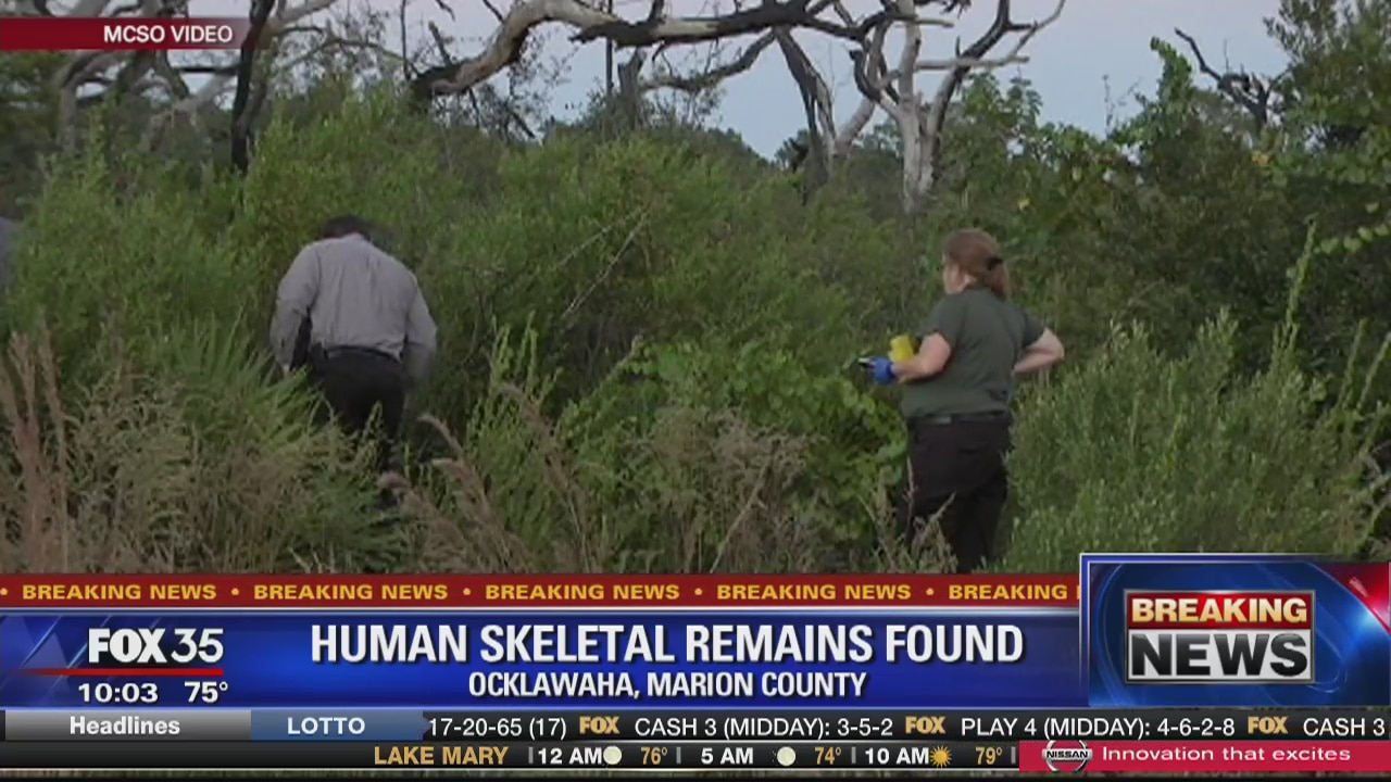 Human skeletal remains found in Ocklawaha