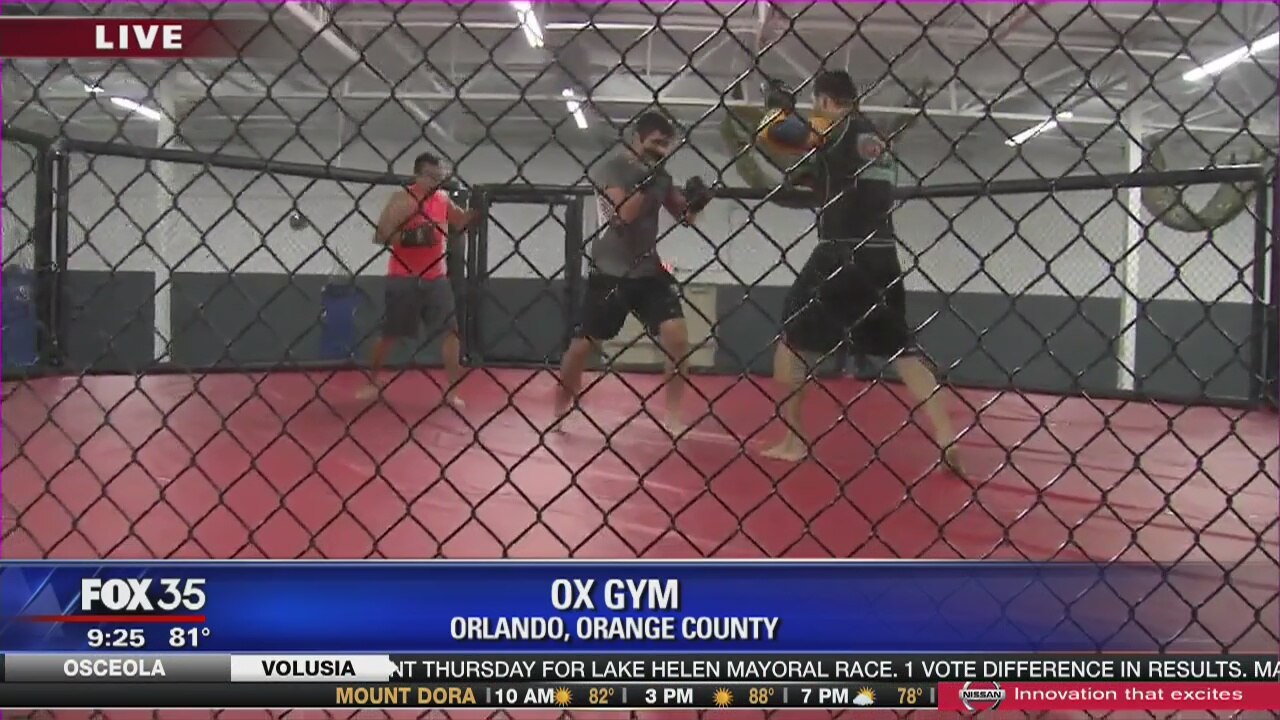 David Does It: Ox Gym