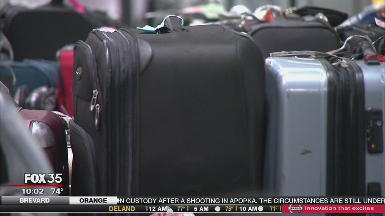 OIA baggage handlers arrested