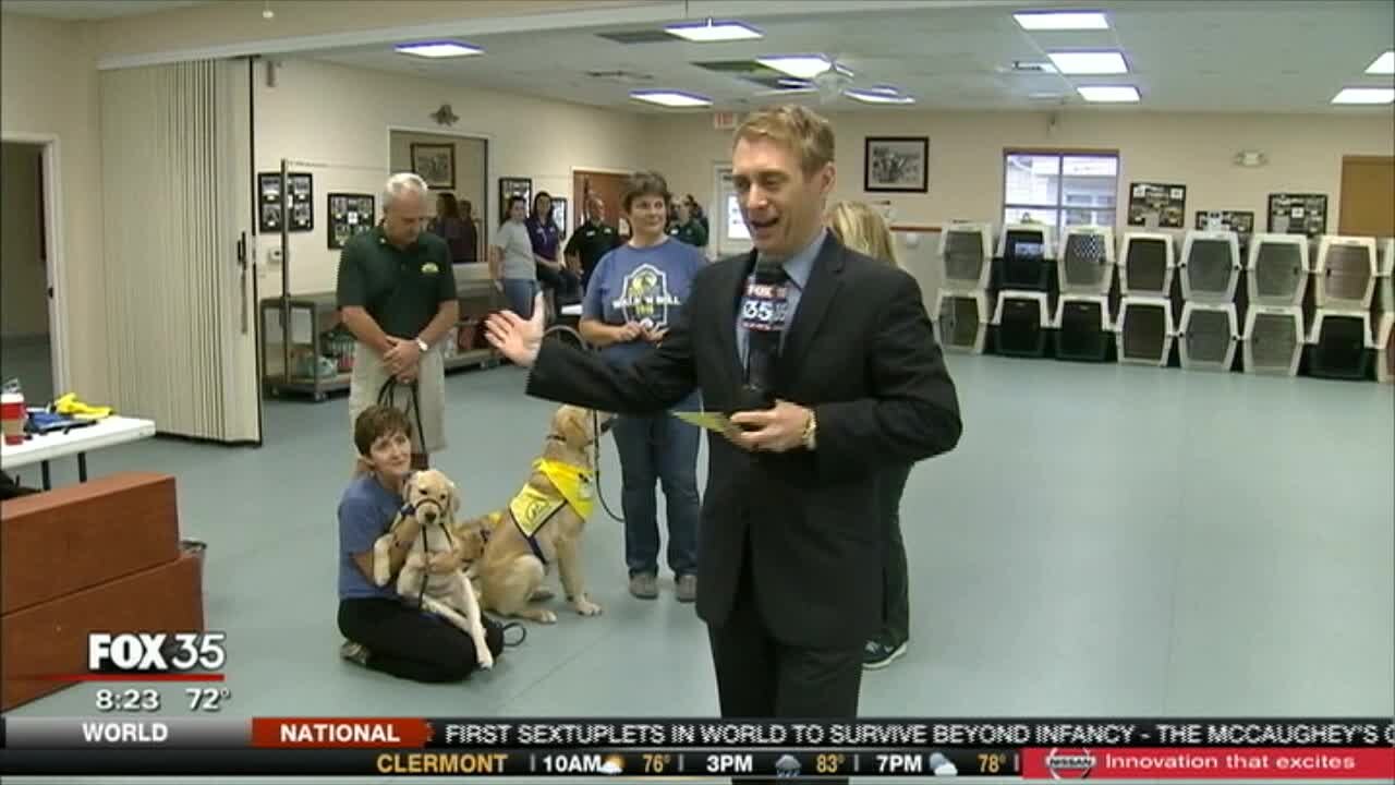 David Does It: Canine Companions for Independence