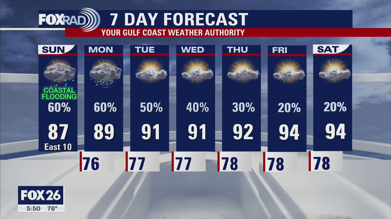 Houston area weather forecast
