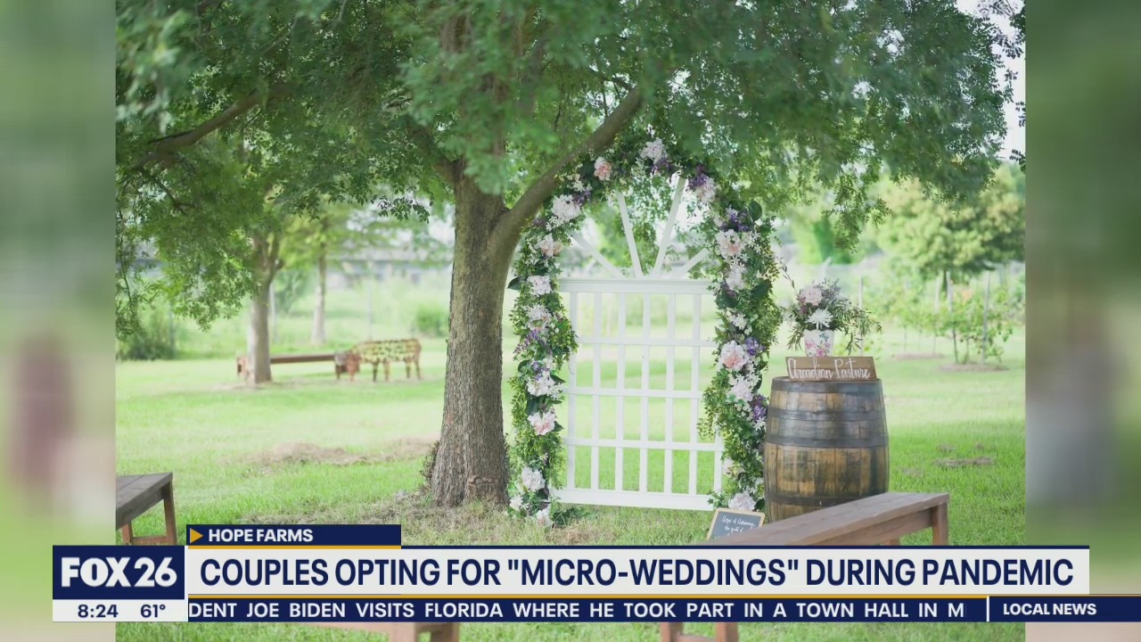 Can't wait to wed? Make it micro!