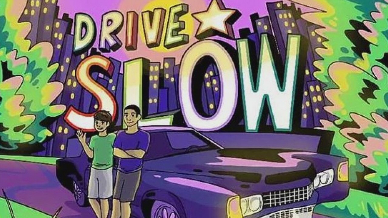 Children's book "Drive Slow" inspired by Houston