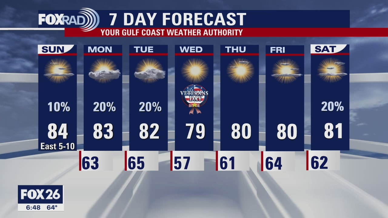 Houston-area weather forecast 11/8