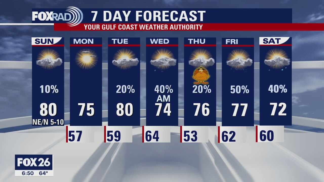 Houston-area weather forecast 11/22