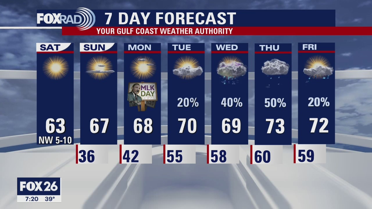 Houston-area weather forecast for January 16th