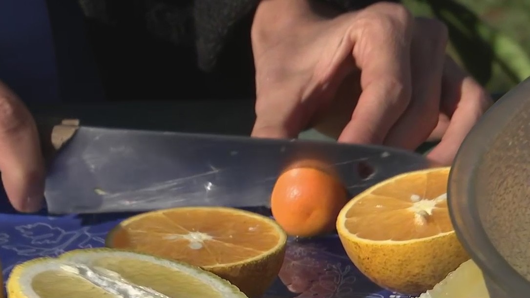 Urban Harvest hosting virtual class in lieu of fruit tree sale