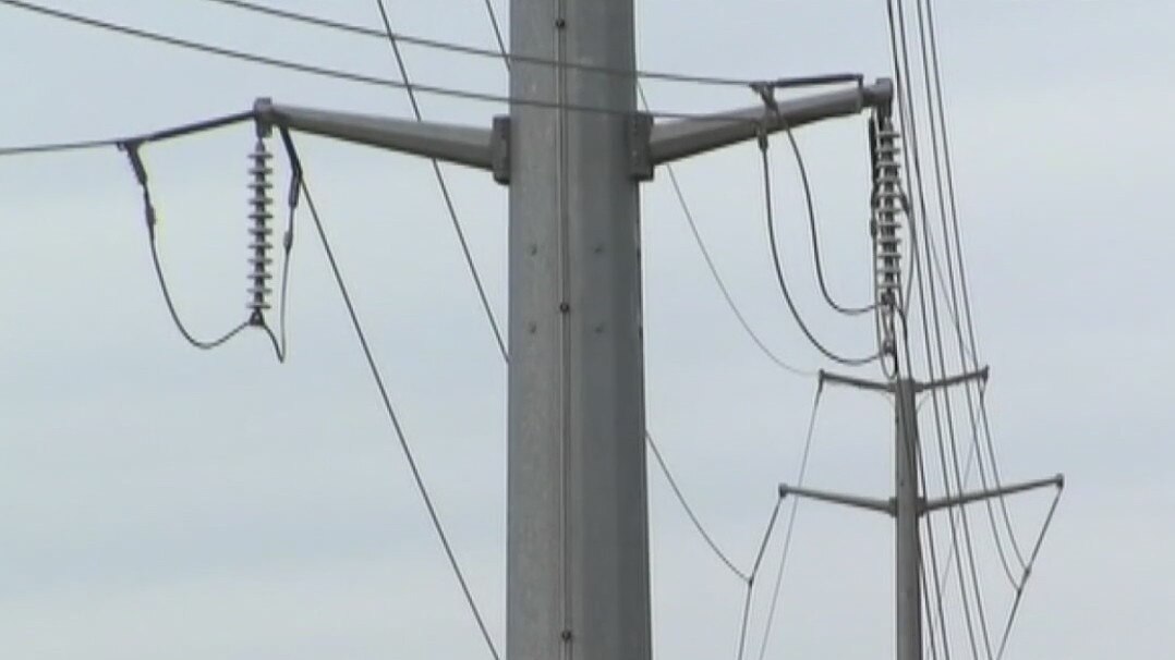 Harris Co. attorney launches investigation of blackout