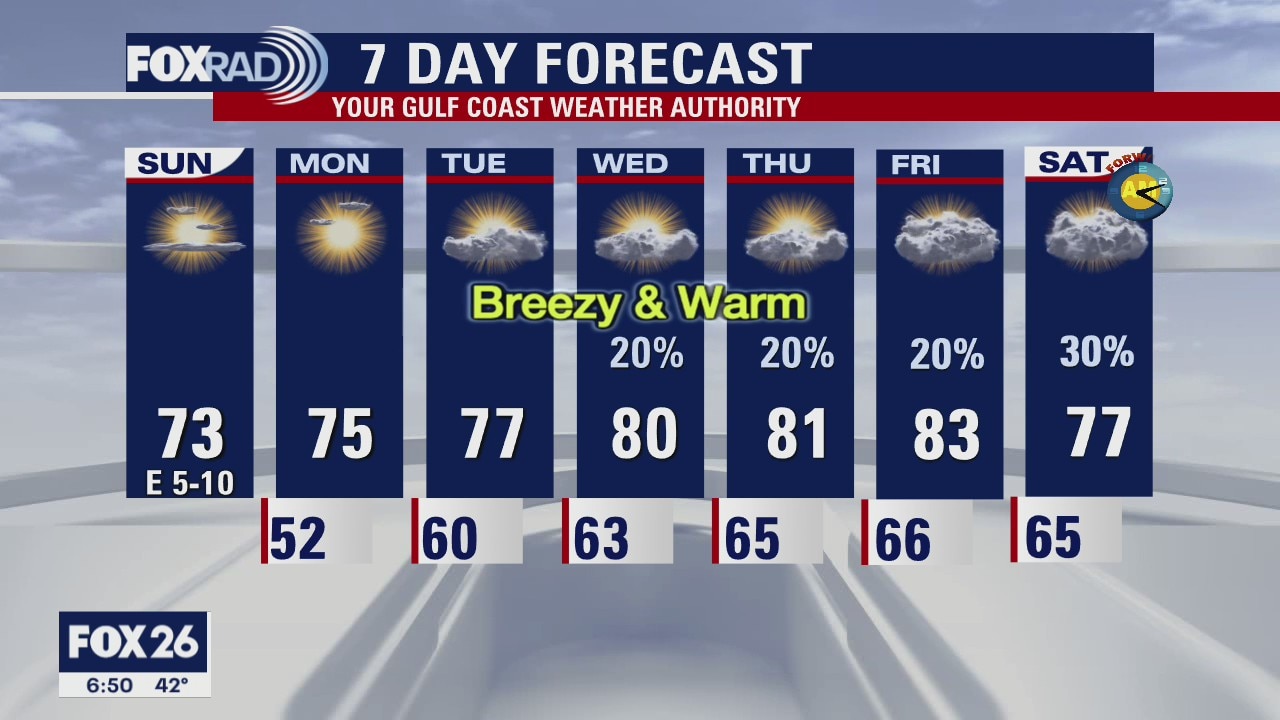 Houston-area weather forecast: February 7th