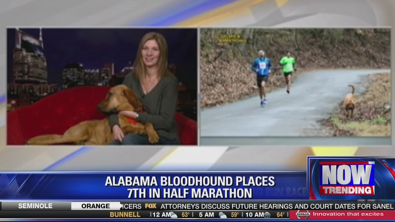 Dog accidentally enters half marathon, gets 7th place