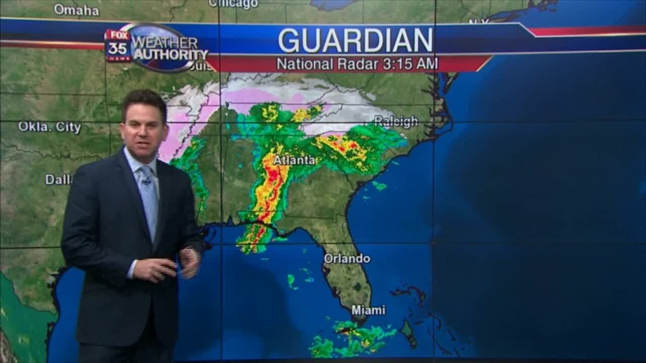 David Does It: Manatee Festival