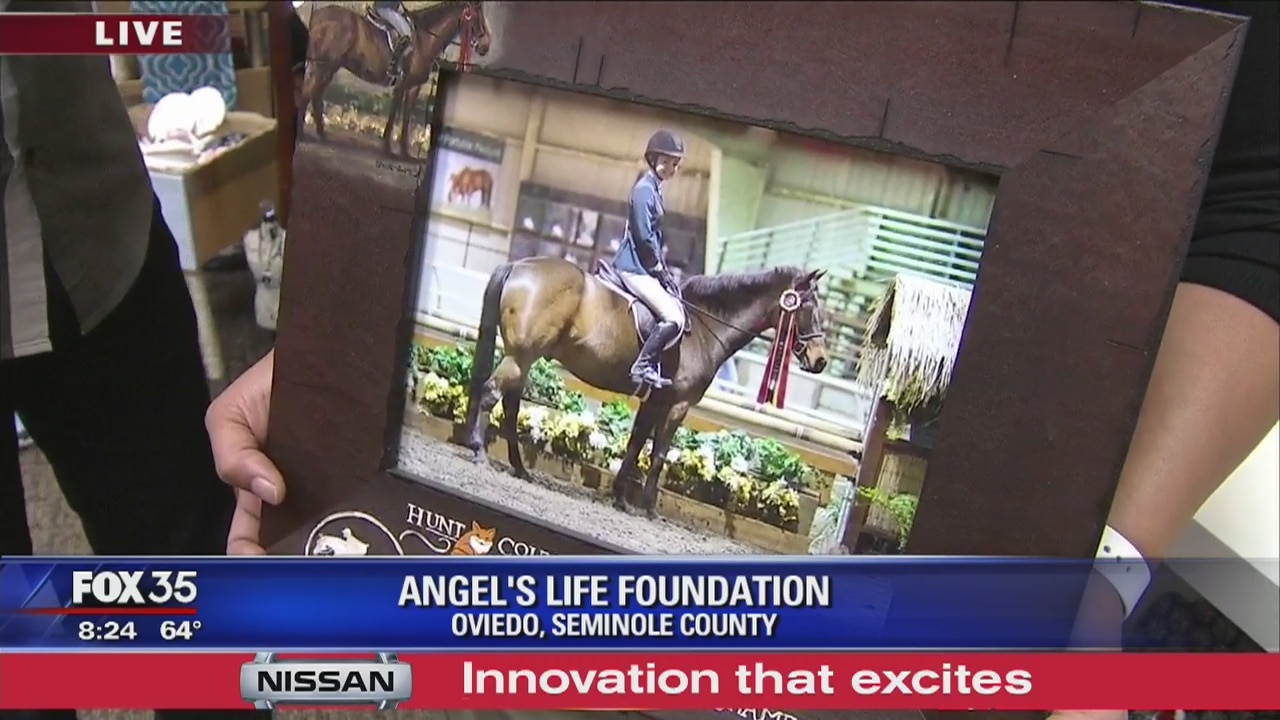 David Does It: Angel's Life Foundation