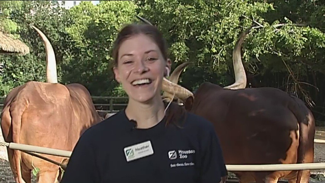 Houston Zookeeper up for big award