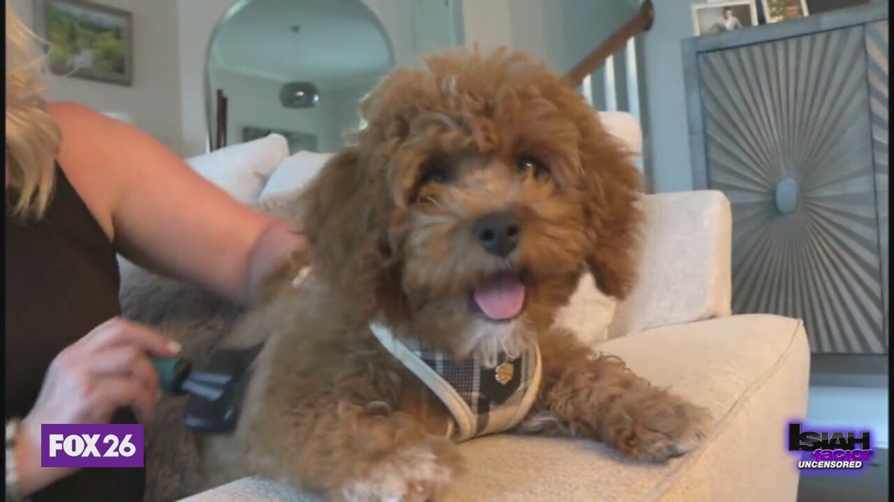 High suicide rates among veterinarians