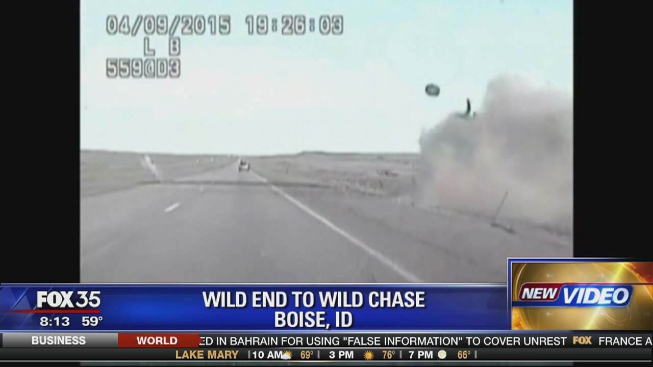 Wild end to wild chase