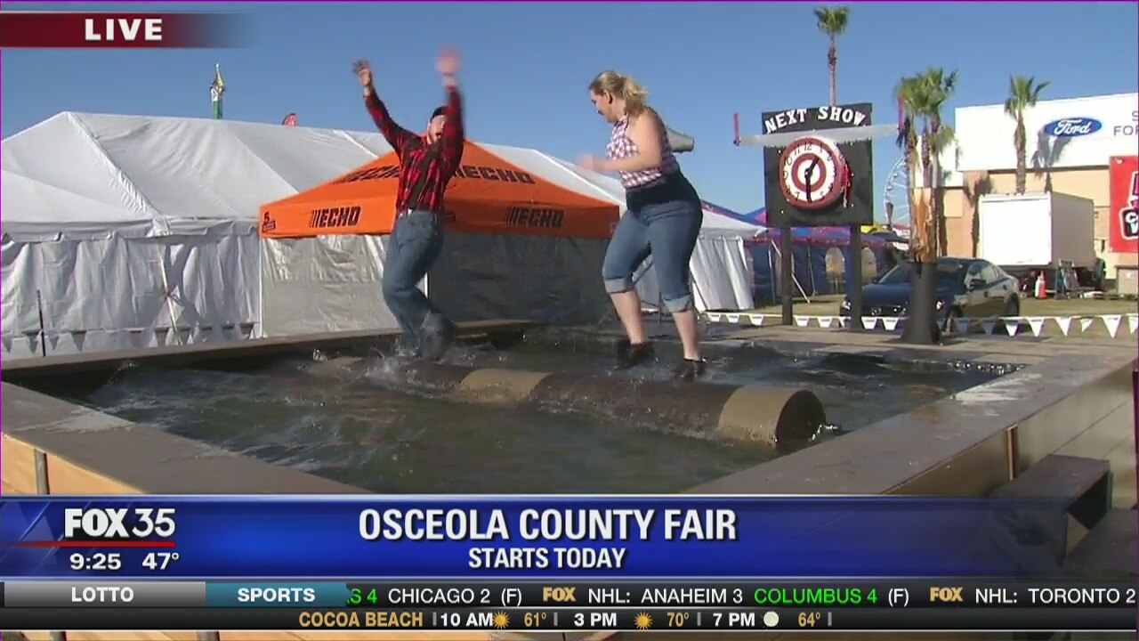 David Does It: Osceola County Fair