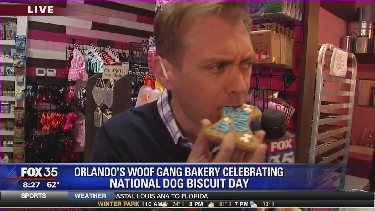 David Does It: National Dog Biscuit Day